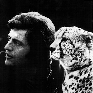 JOE DASSIN